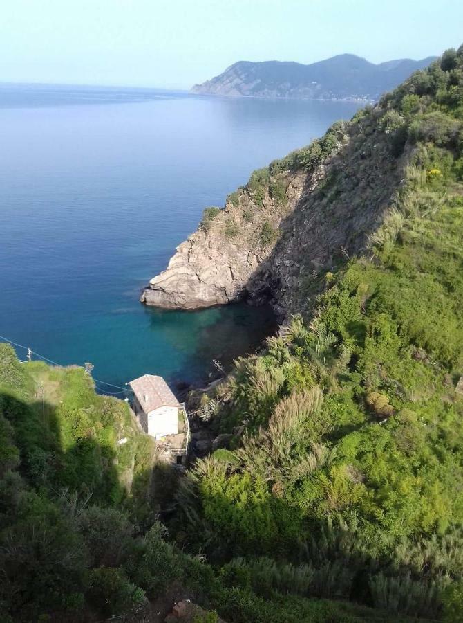 Cecio 5 Terre Rooms Corniglia Bagian luar foto